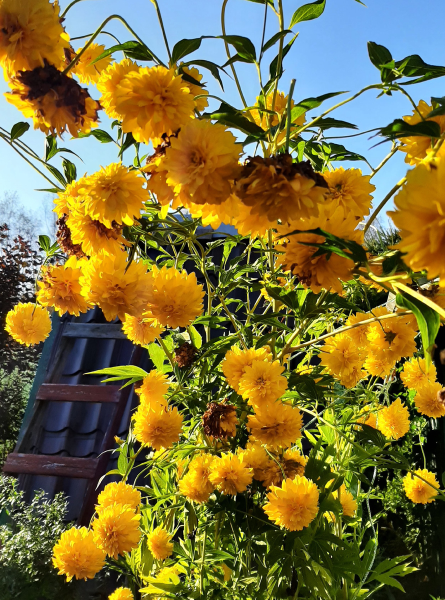 И все-таки осень 