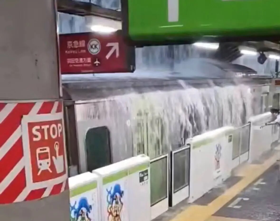    Фото: скриншот видео из соцсетей