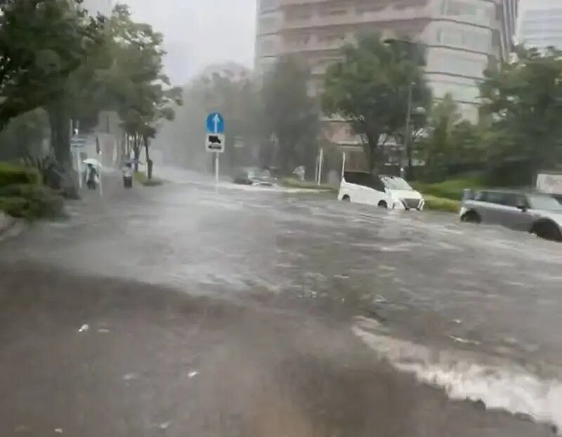    Фото: скриншот видео из соцсетей