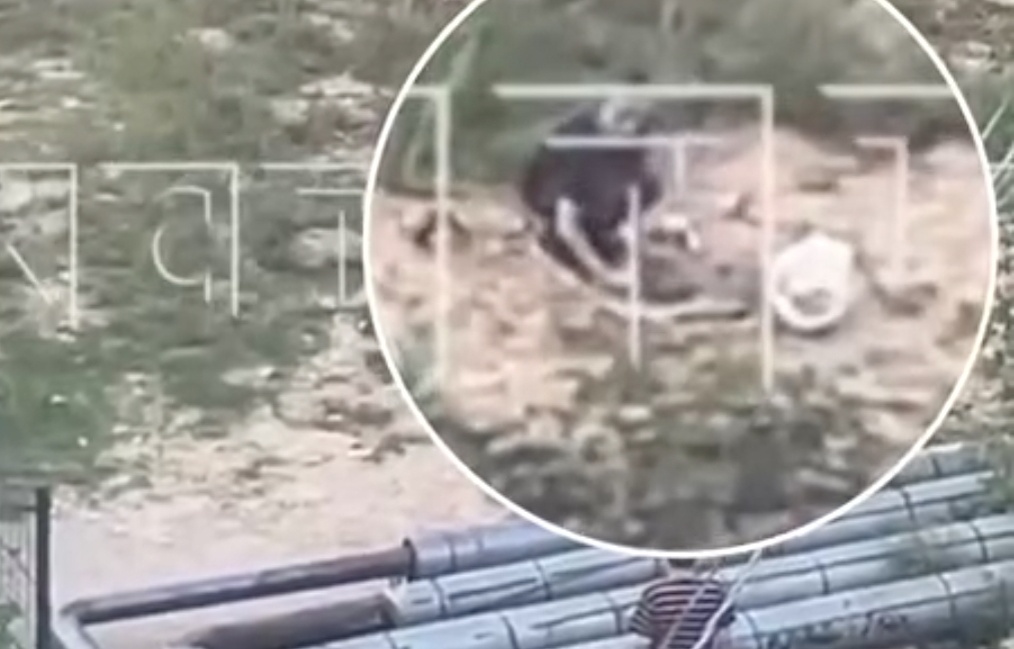    Все произошло возле теплотрассы на проспекте Кораблестроителей