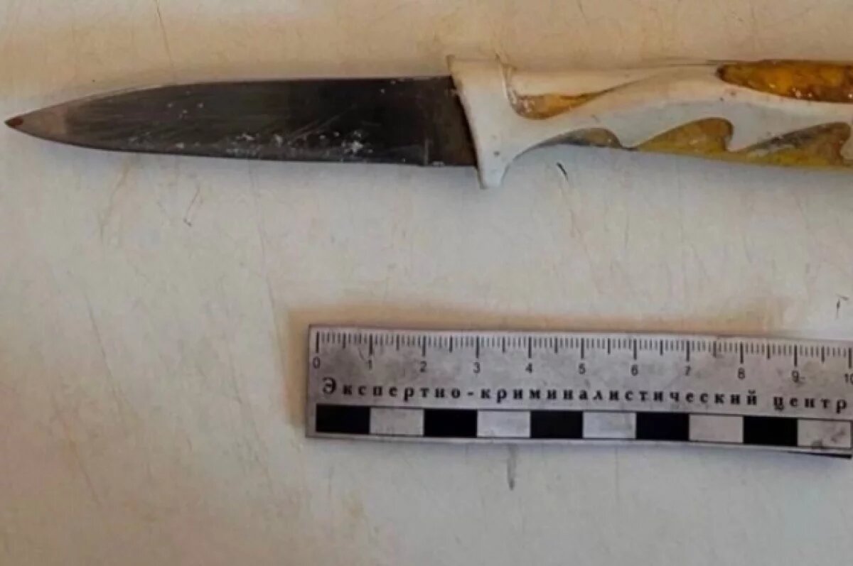    Жительницу Алтая обвиняют в превышении обороны