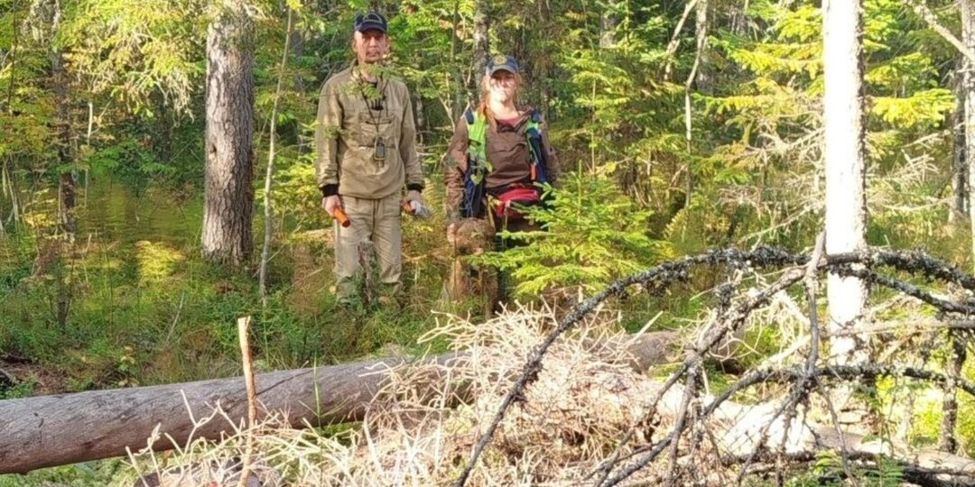 Служебная собака обнаружила тело пропавшей в плесецком лесу женщины