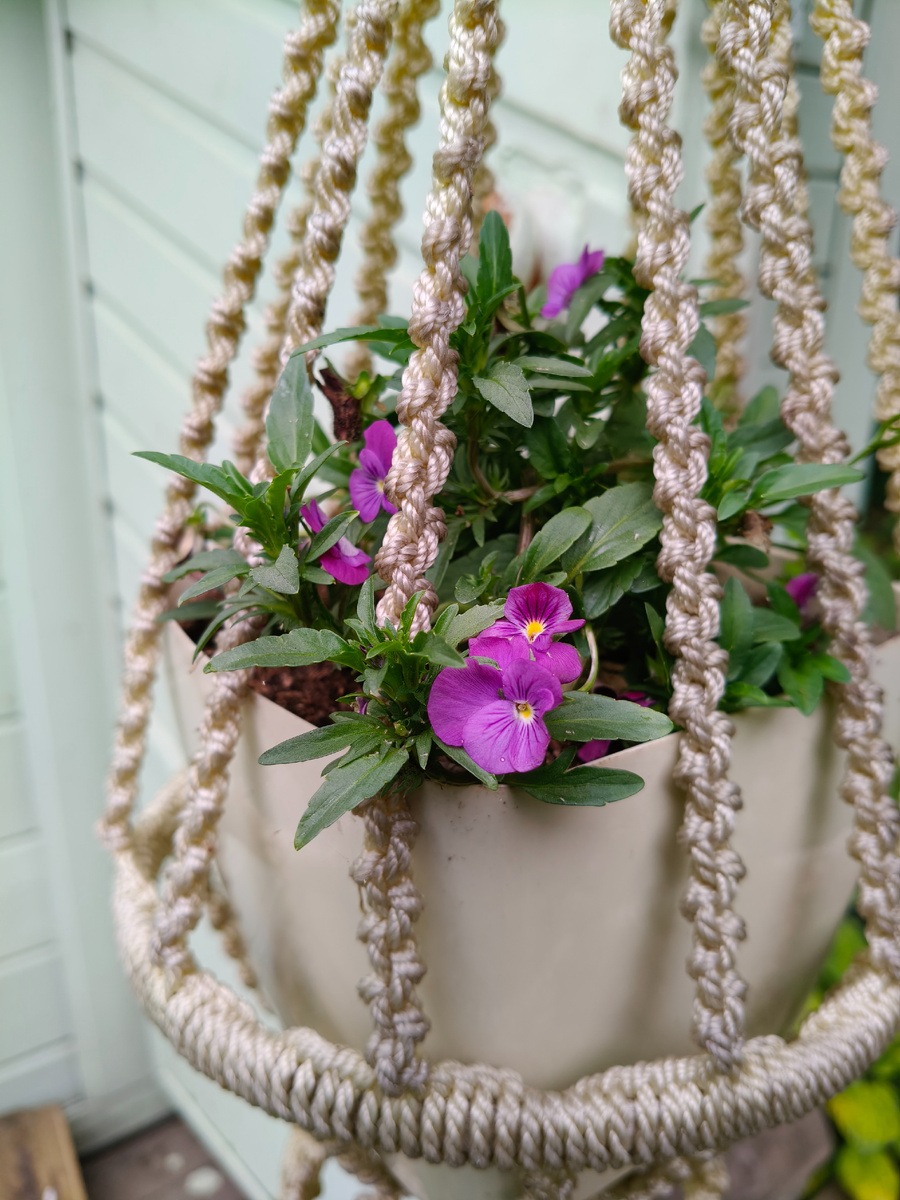 Один сорт из Микса Кул Вейв. 