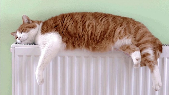    //Фото с сайта vlada.io