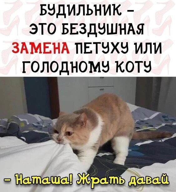 фото из интернета