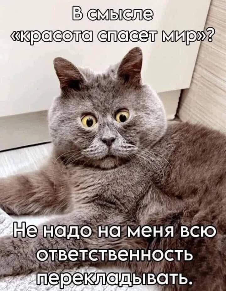 фото из интернета