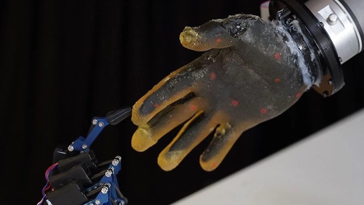 Исследователи тыкали, жгли и резали руку робота, чтобы проверить, может ли он чувствовать (Изображение с сайта popsci.com)