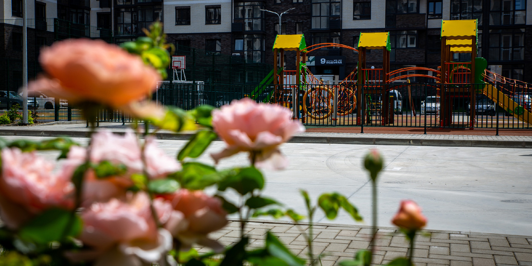 «Сады у моря»: как купить квартиру на юге за 3,7 млн рублей