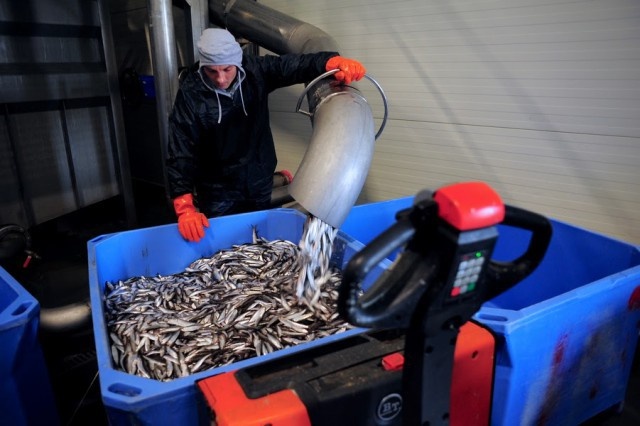   Фото из архива Калининград.Ru