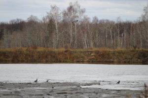    Фото: пресс-служба Росводресурсов