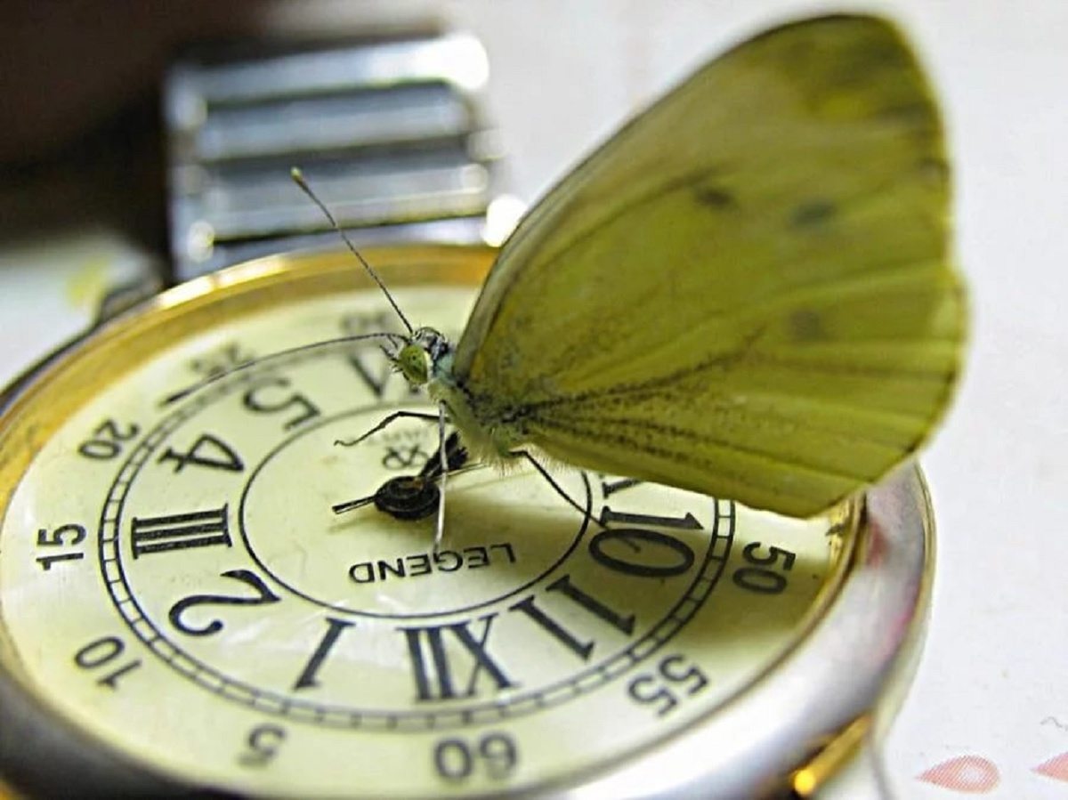 Когда говорят Здесь и сейчас не к месту и не правильно.