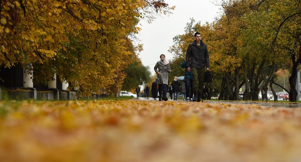    Медиасток.рф