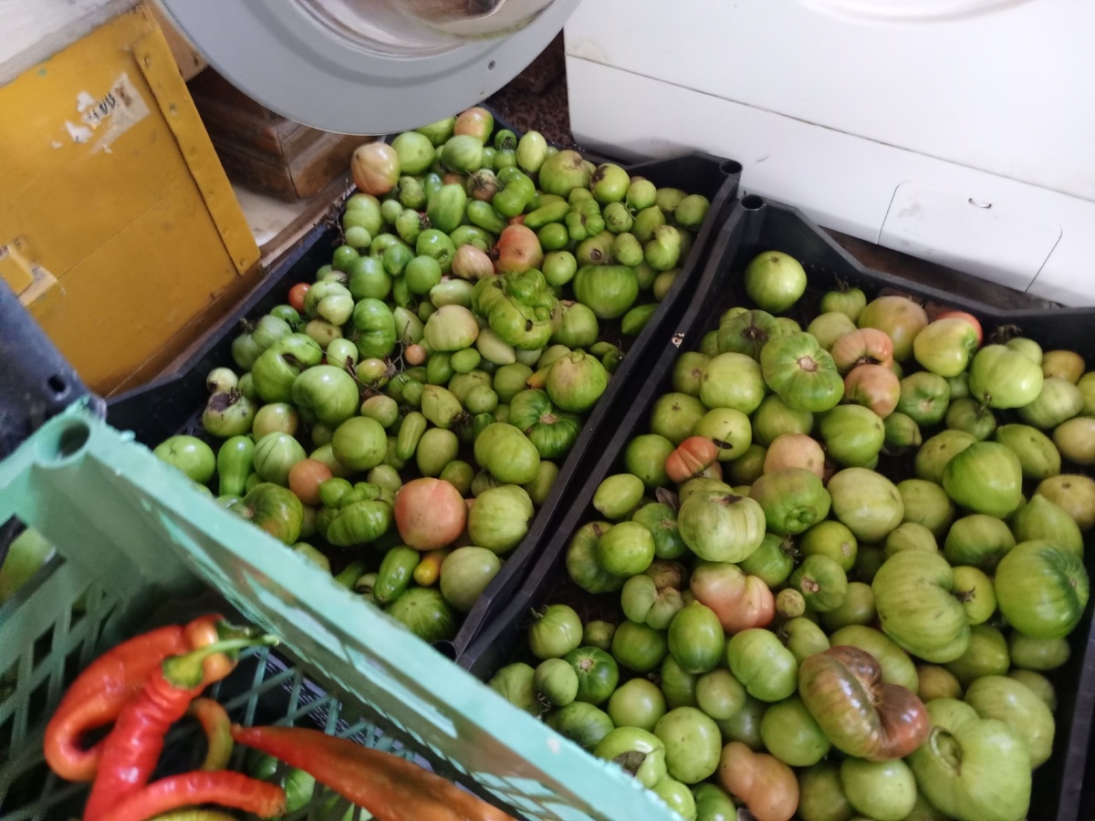    Зеленые помидоры по-грузински на зиму - съедаются в 3 раза быстрее красных