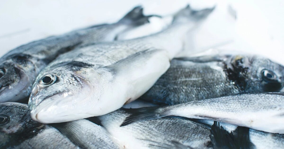 Фото: Jakub Kapusnak / Unsplash