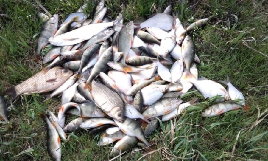 Осенняя путина стартовала в Астраханской области