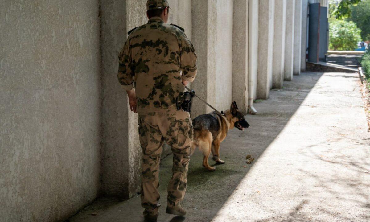    Фото t.me/rosgvard_krasnodar