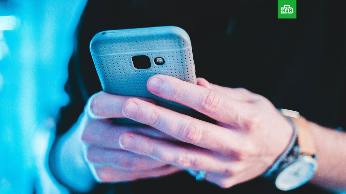    Фото: Erik Mclean / unsplash.com