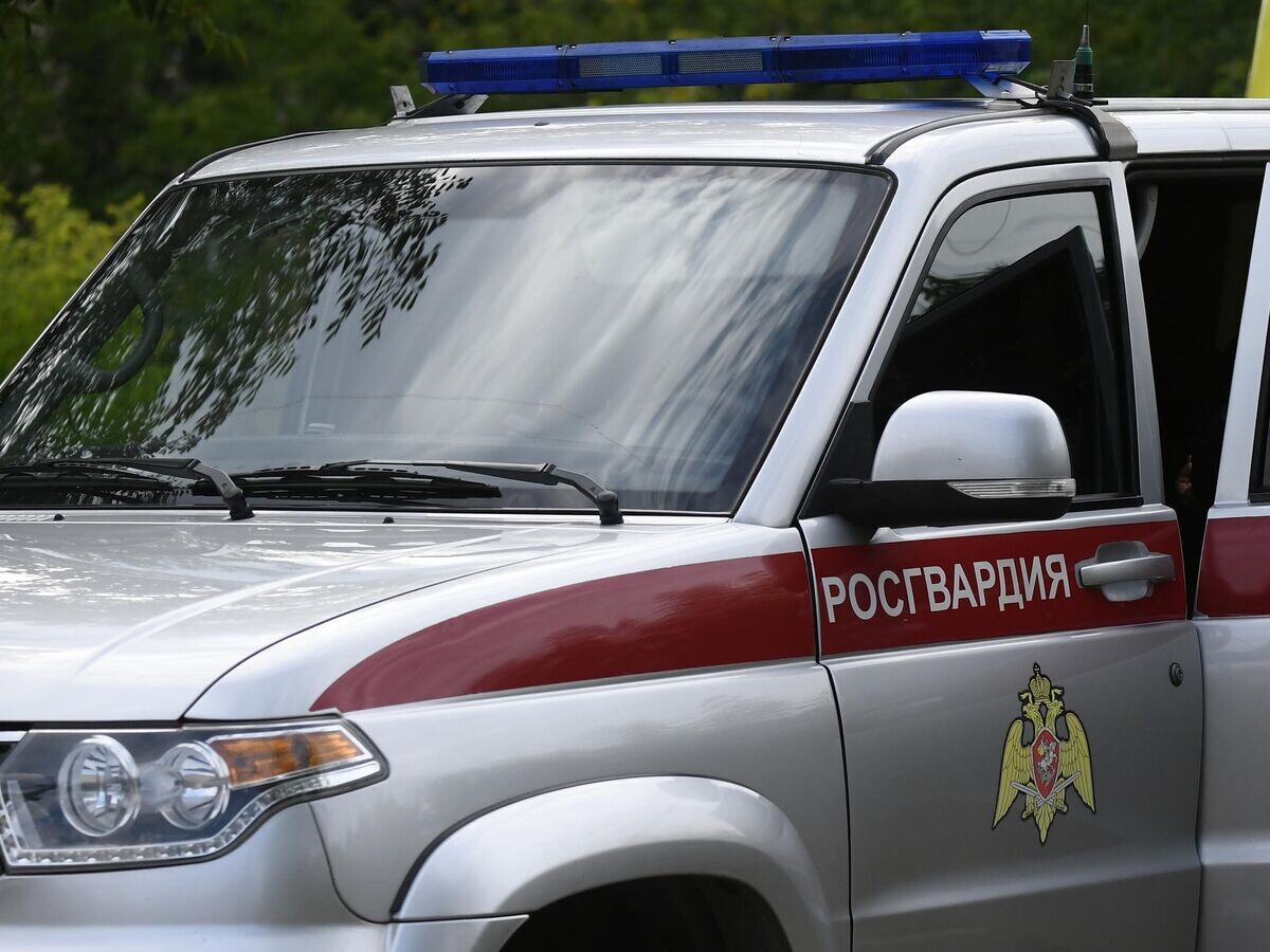    Автомобиль Росгвардии© РИА Новости / Илья Наймушин
