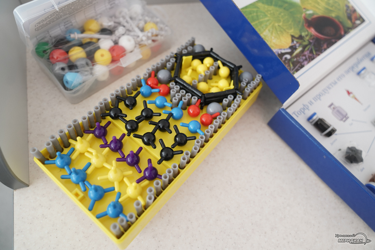    Фото: Лидия Аникина © ИА «Уральский меридиан»