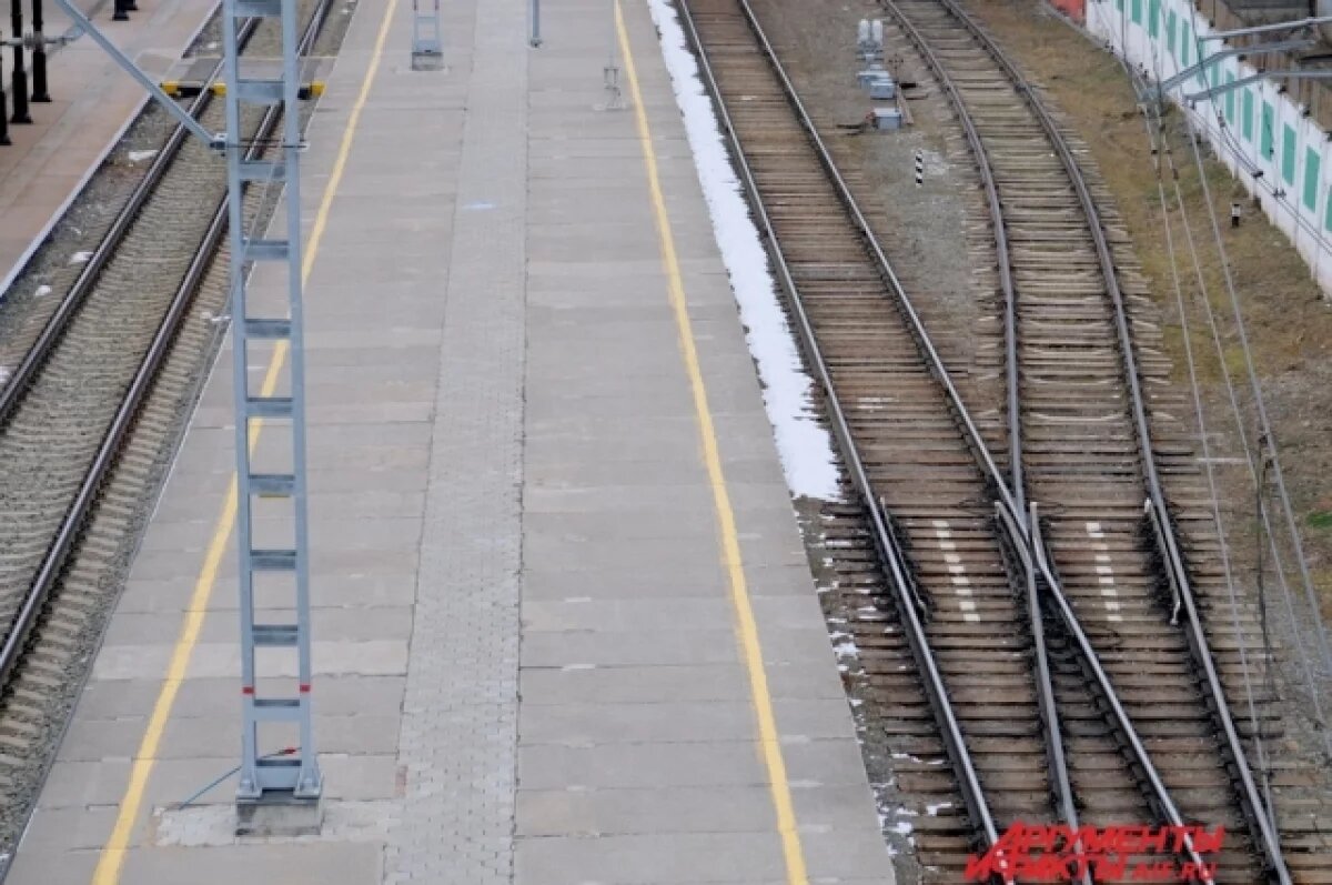    В Пермском крае перебегавшего пути мужчину насмерть сбил поезд