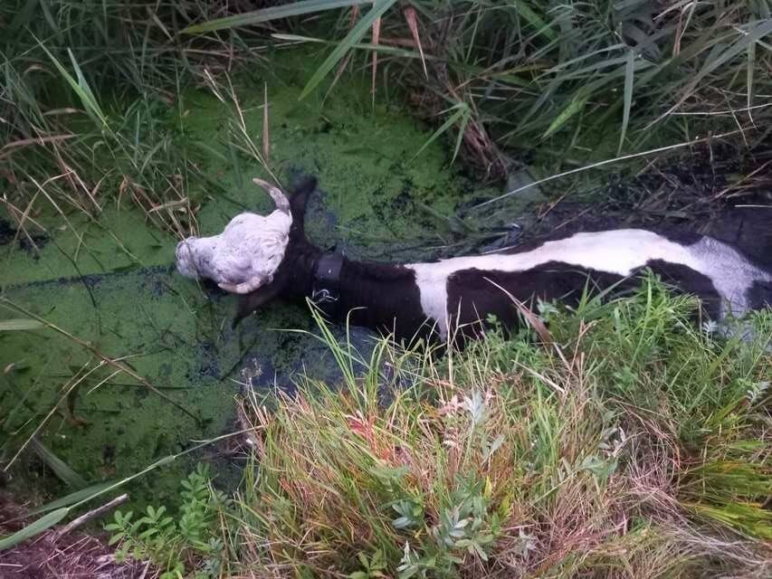 Фото: администрация поселка Новокасторное