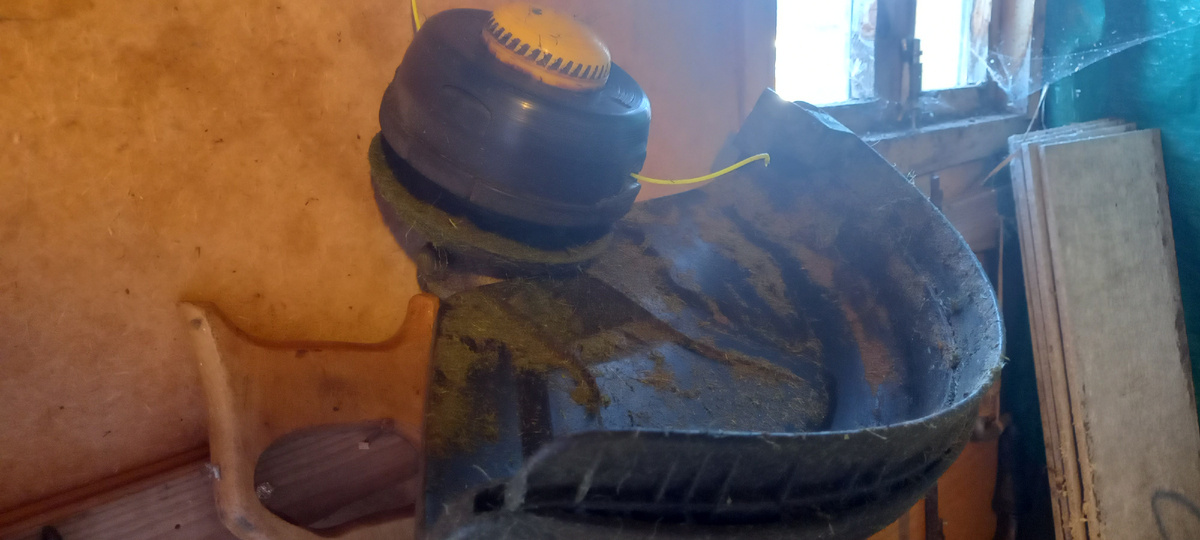 Домашние дела. Почистил триммер. Покасил травы.