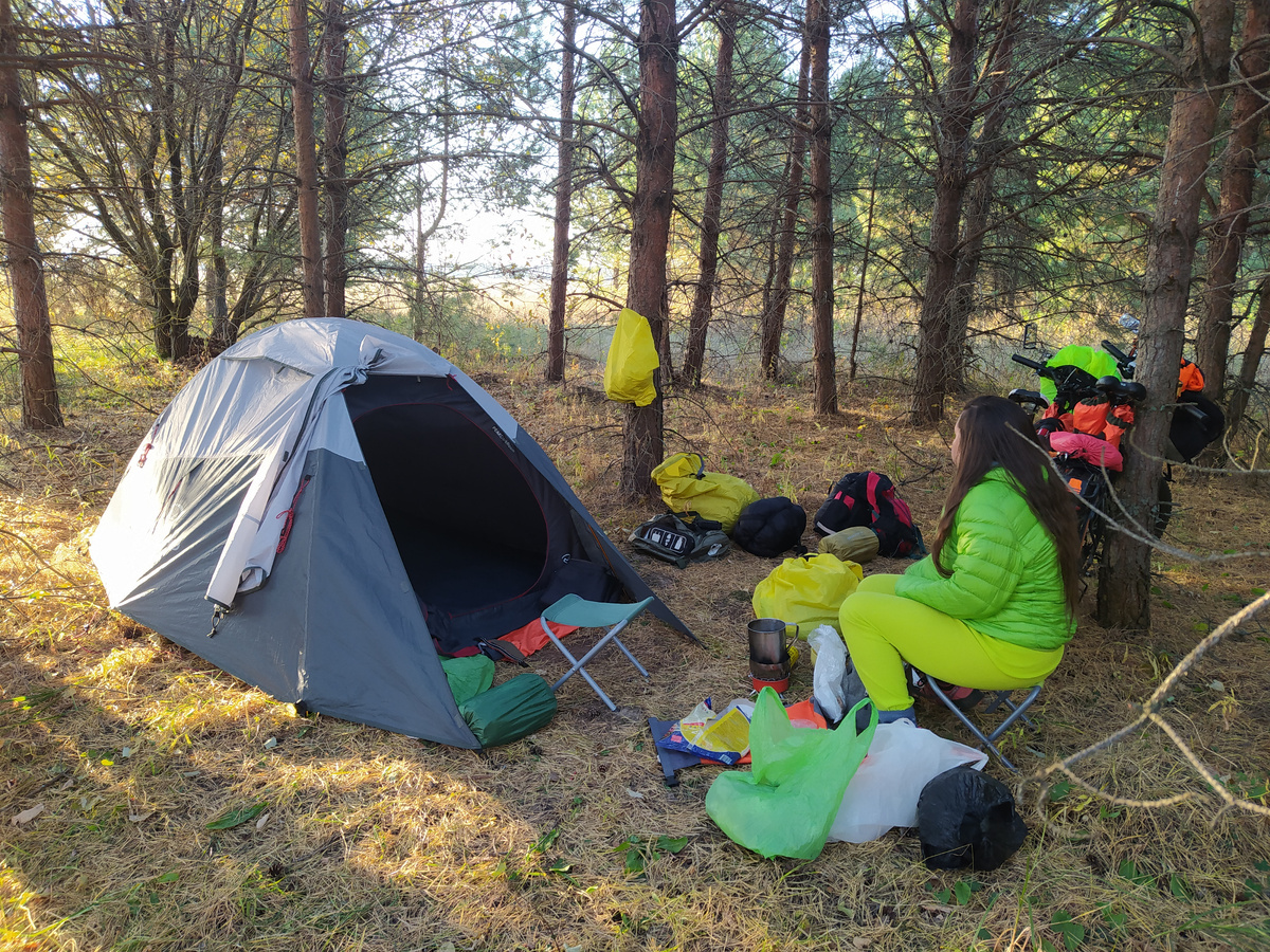 Утро на сосновой опушке с палаткой и Леной :)