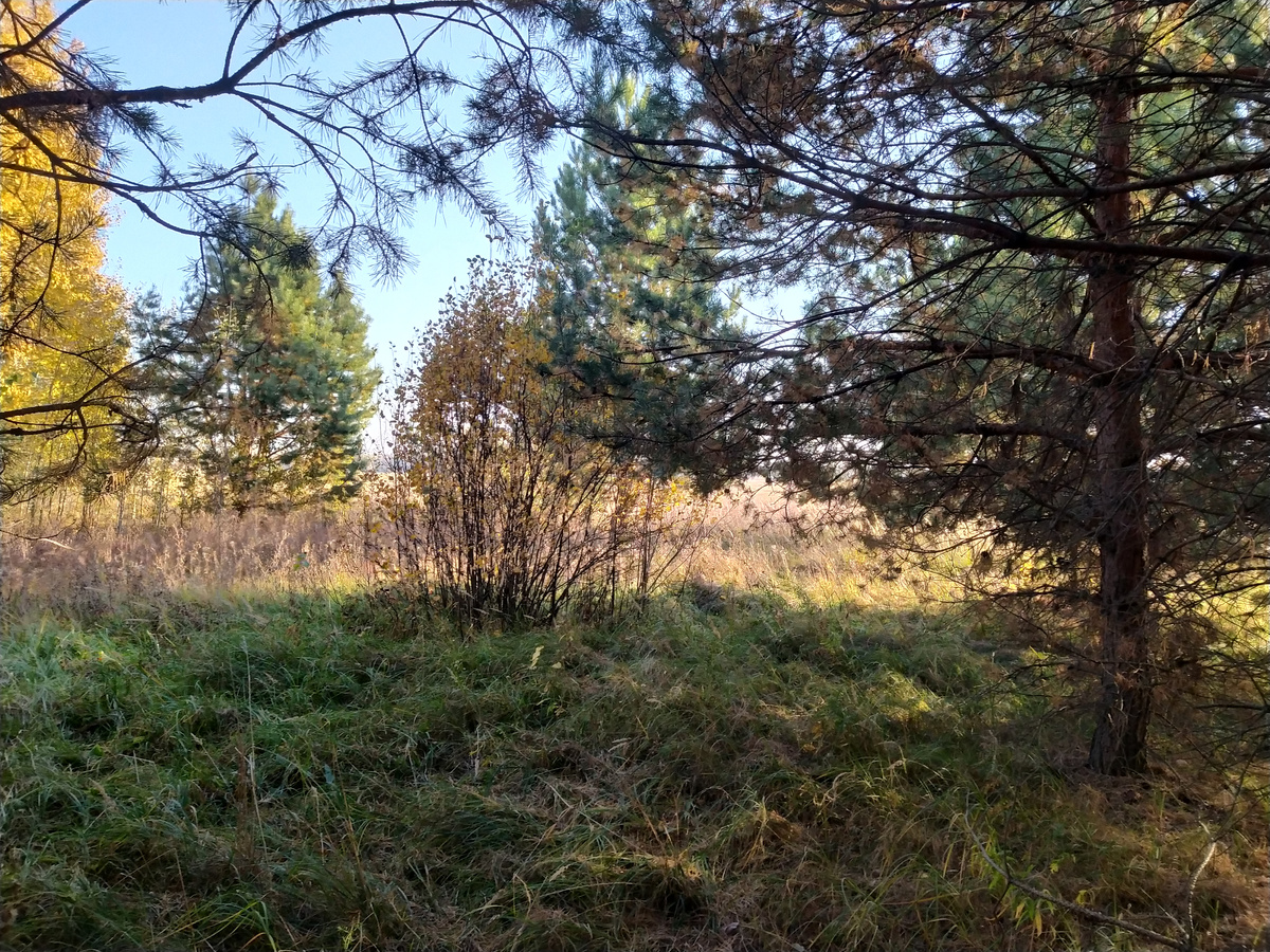 Общий вид стоянки