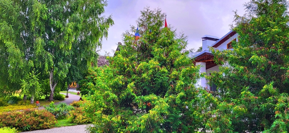 Фото принадлежит автору канала.