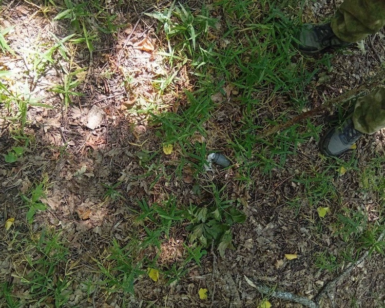     В Курской области саперы отряда «БАРС-Курск» обнаружили 102 боеприпаса