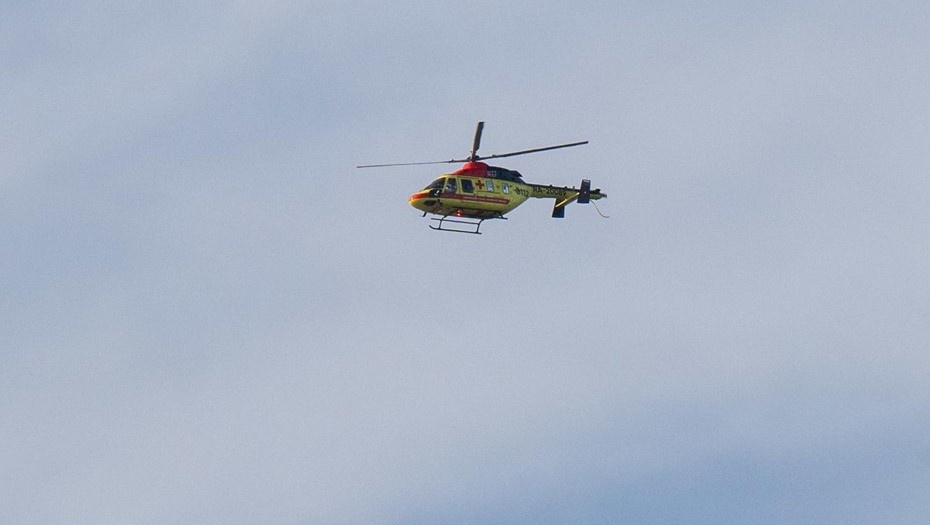    Автор фото: Тихонов Михаил