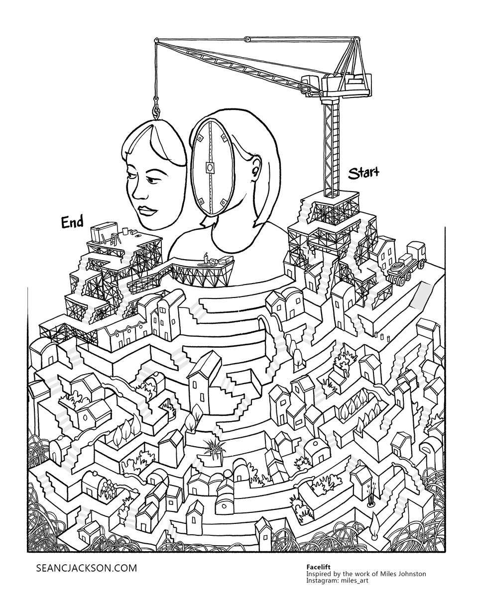 Лабиринт "Подтяжка лица". Художник Шон С. Джексон. Вдохновлено работами Майлза Джонстона. Источник: https://www.seancjackson.com/downloads-02