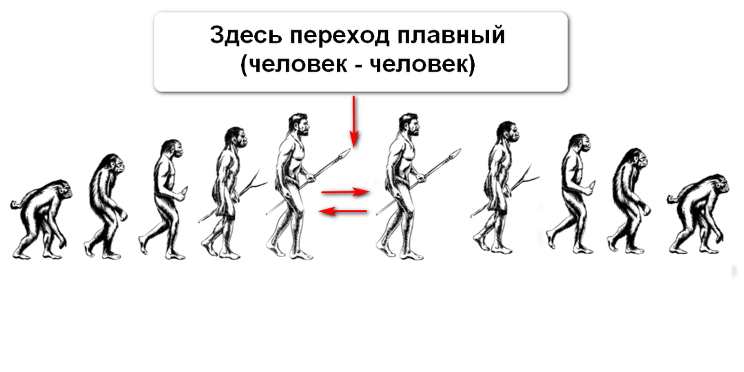 Видеомонтаж для чайников. Урок 3. Стоп-кадр и обратное проигрывание клипа.