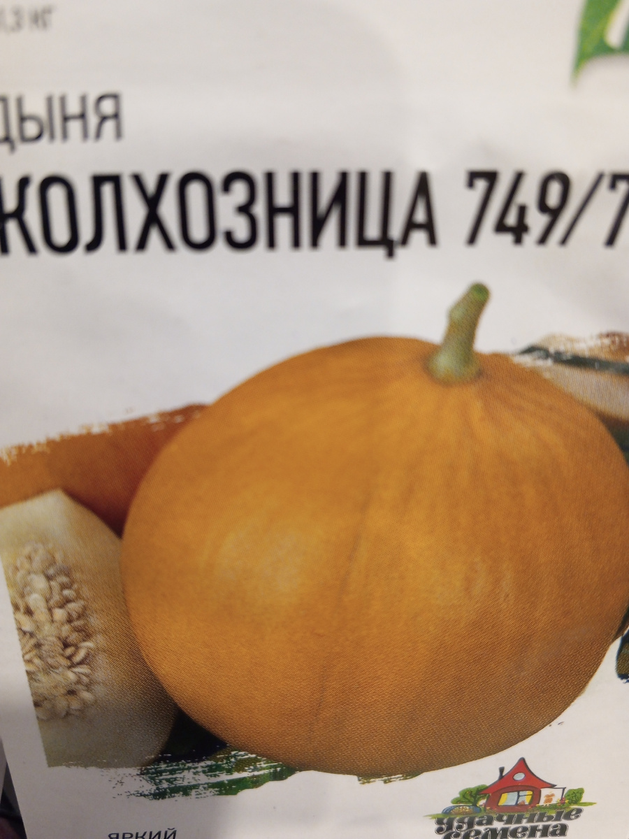 Семена дыни "Колхозница"