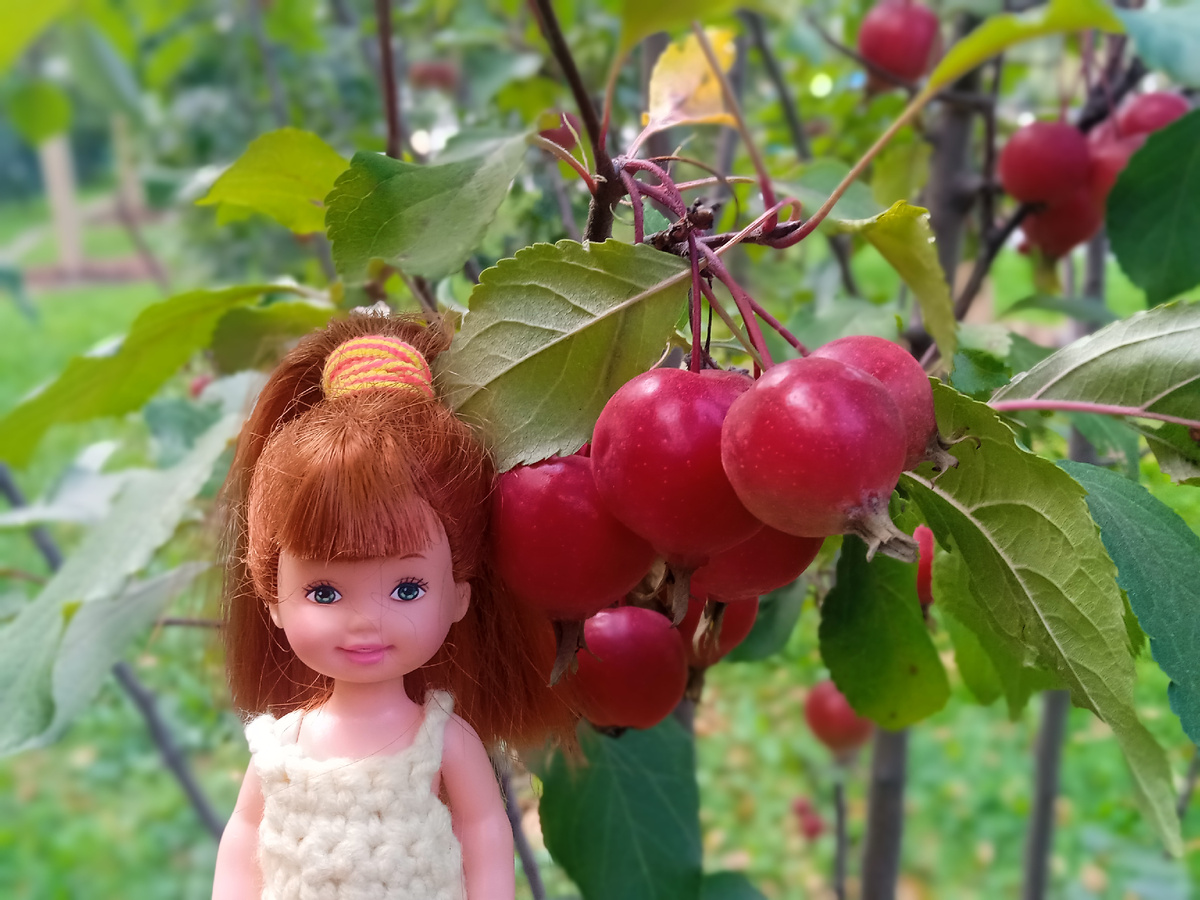 Жанна и молодильные яблочки. Фото автора.