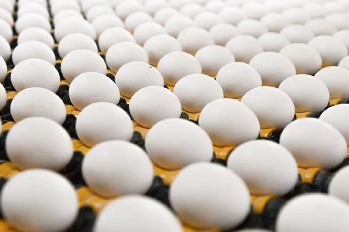    Фото: Александр Кондратюк, источник: РИА Новости