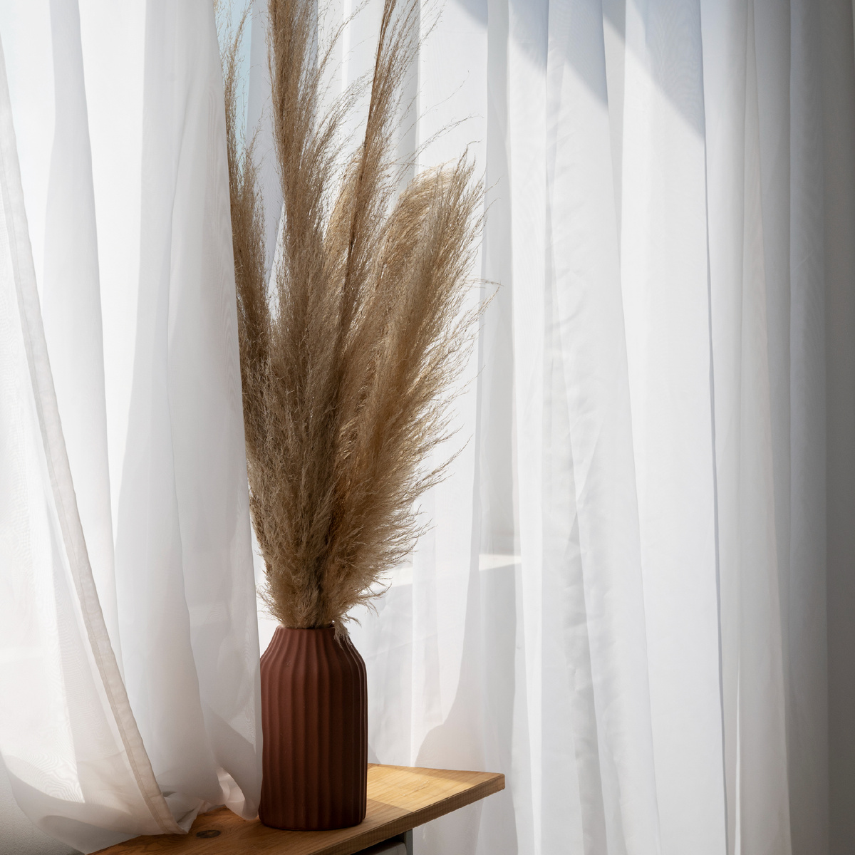 Фото взято с ресурса https://ru.freepik.com