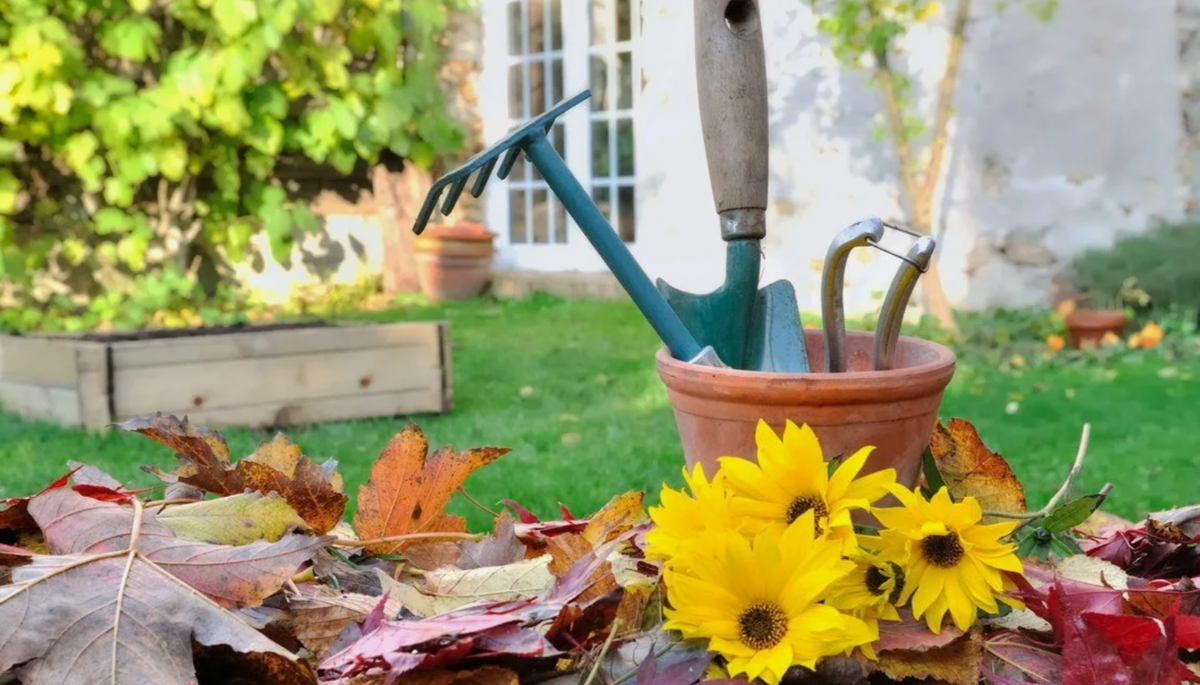 осень на даче