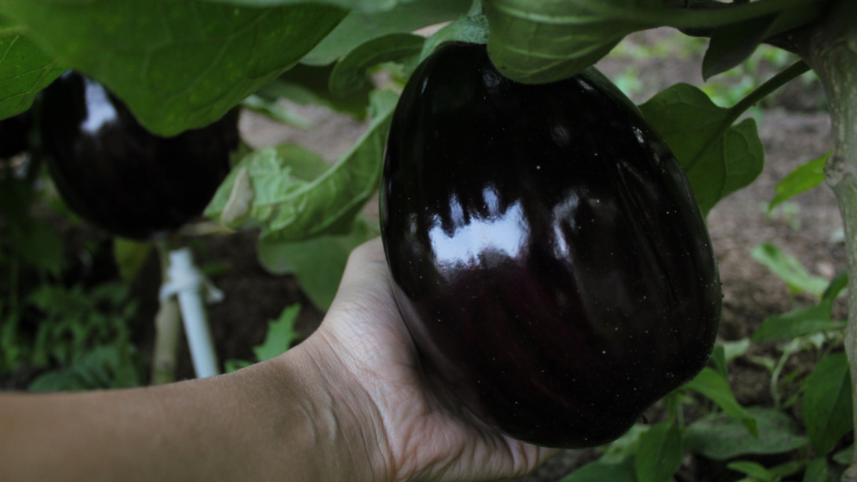 ООО «СДК»📷
