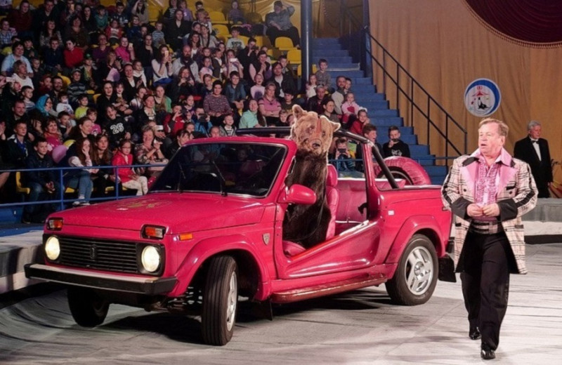 5 необычных фактов о Ниве, от которых вы будете в шоке!