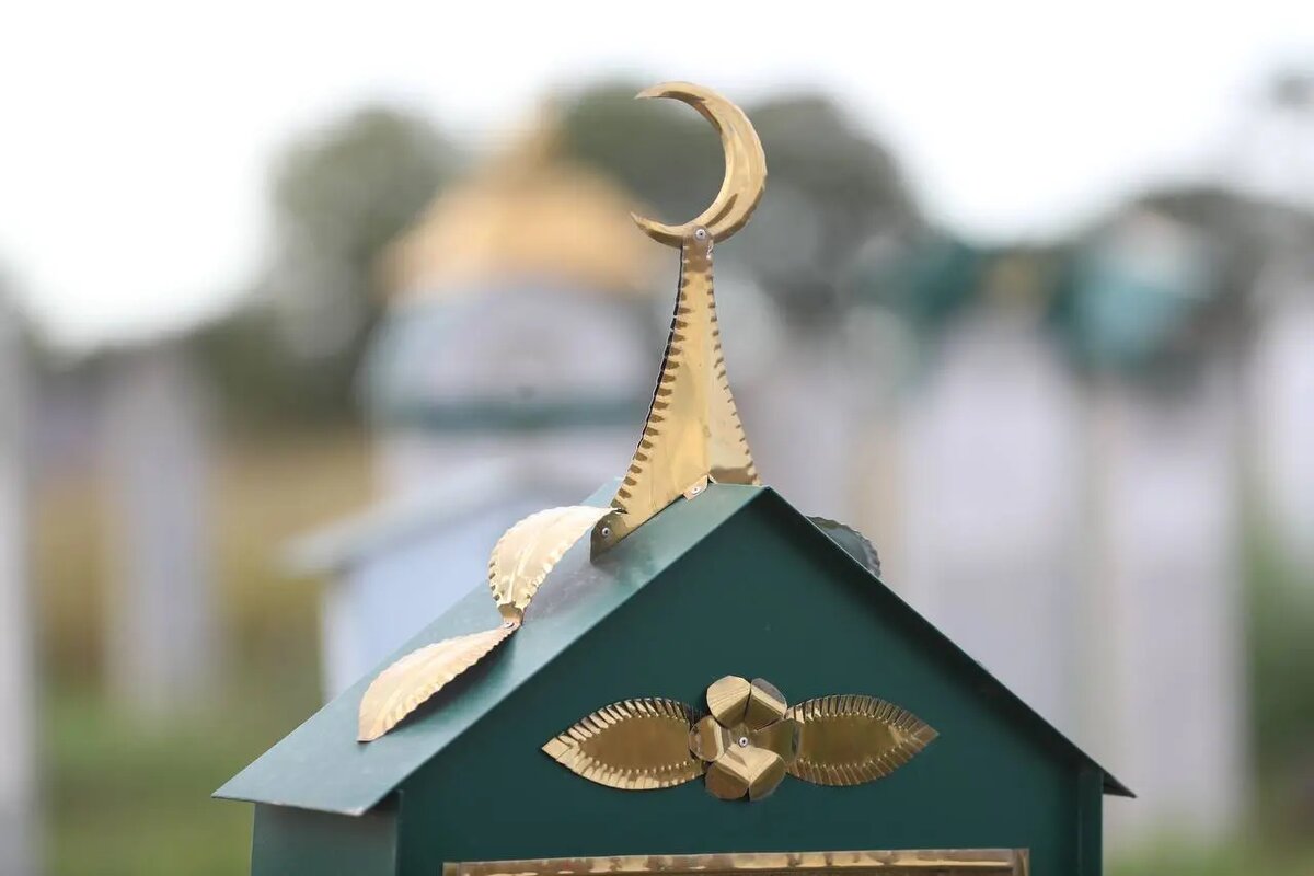 Фото:пресс-служба Главы и правительства Ингушетии