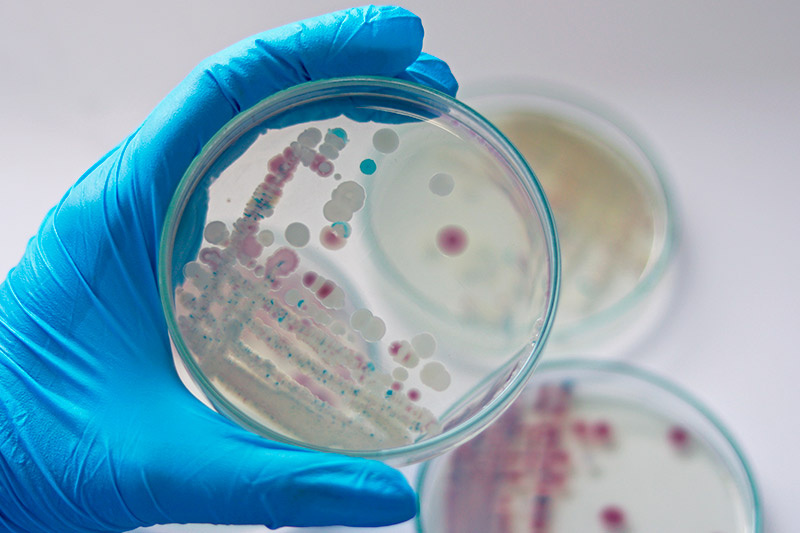    Shutterstock/FOTODOM