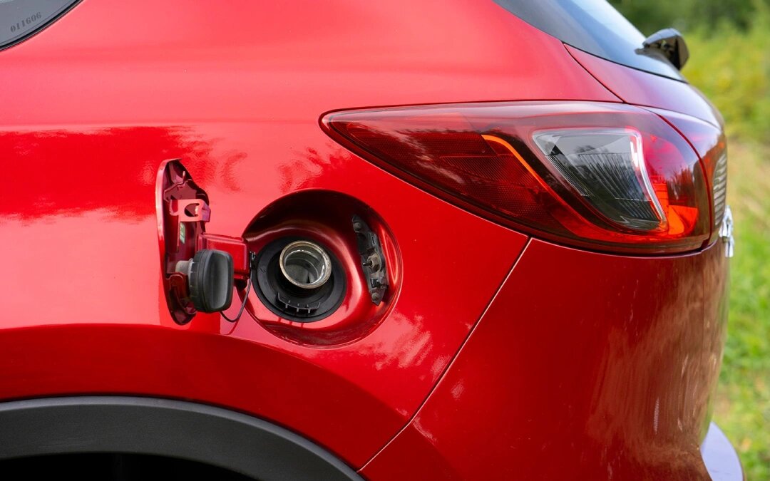 Фото: Dmitrij Galacewicz / Shutterstock / FOTODOM