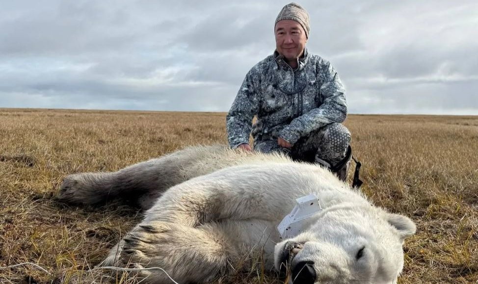    Айсен Николаев и белый медведь / фото: Алексей Романов