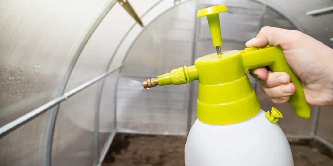 Осенняя обработка теплицы: как защитить урожай следующего сезона