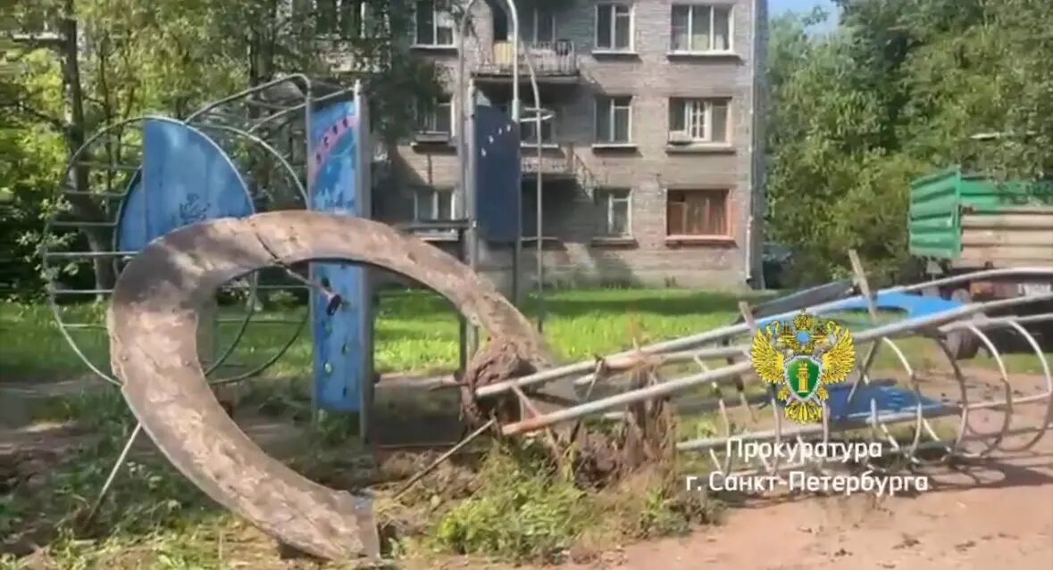    Фото: скриншот видео пресс-службы прокуратуры Петербурга