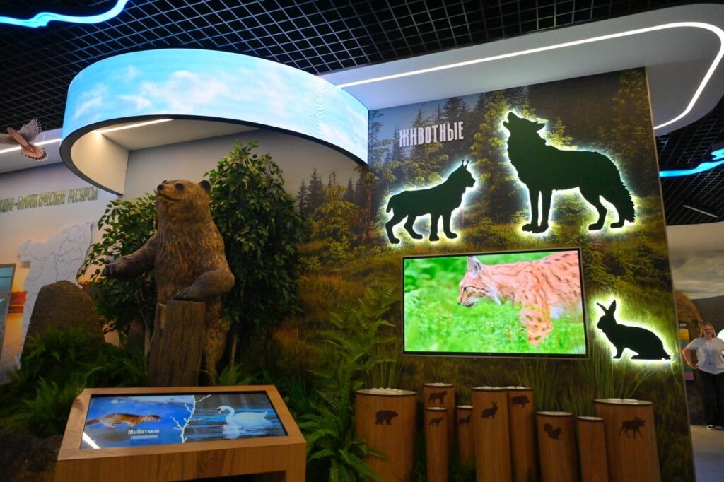    Фото: Дмитрий Махонин /тг Ольга Гилёва