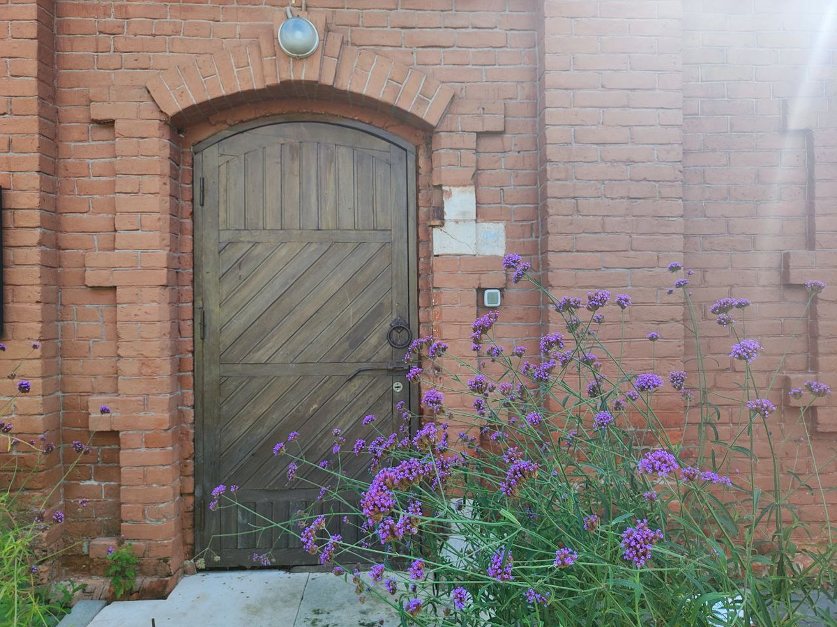 Фото автора.