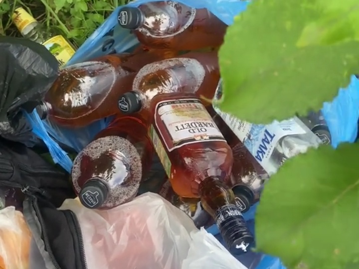 Алкоголизм или пьянство в чем разница 🤔