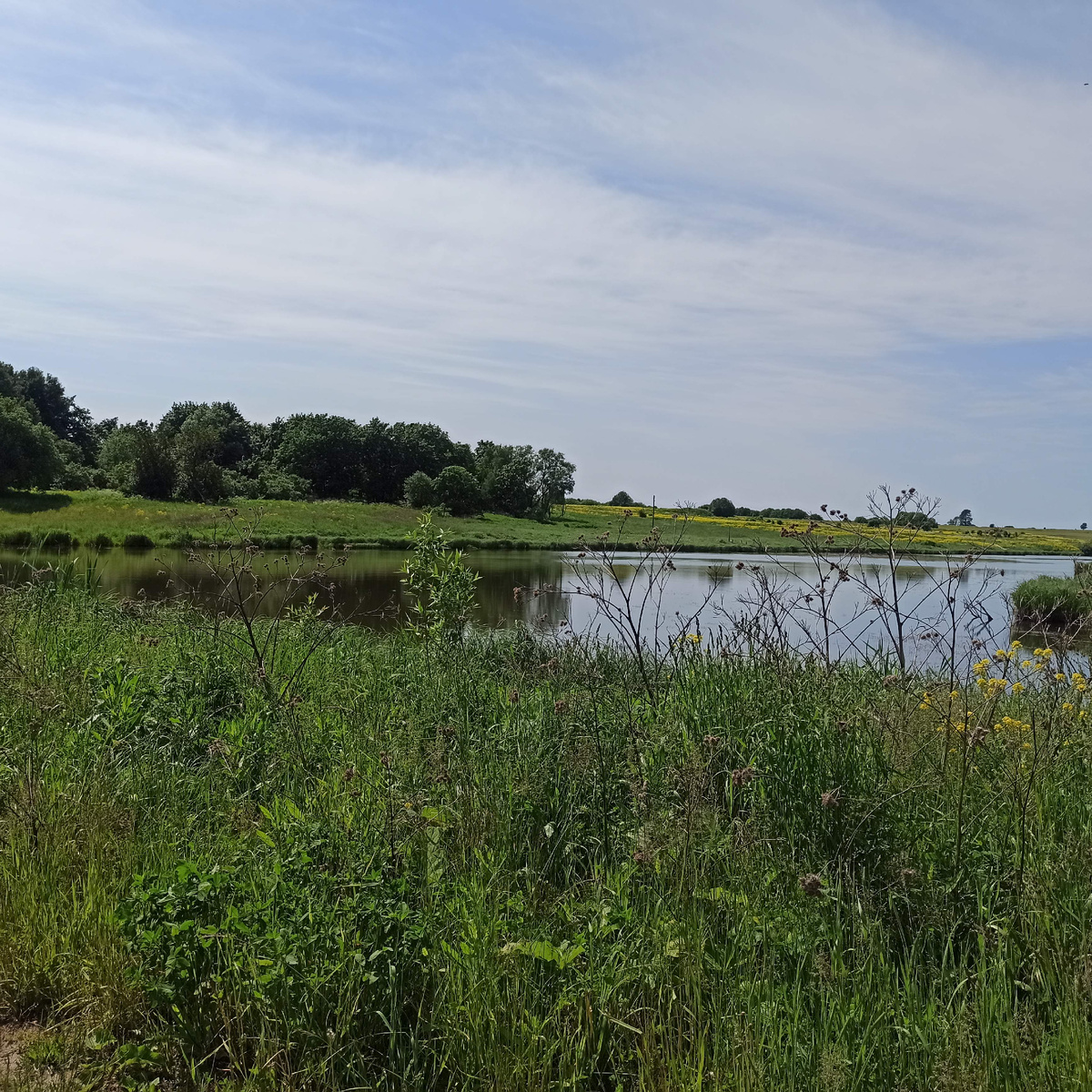 Максимов пруд(назван так в честь семьи по фамилии Максимовы проживавшей рядом с прудом)